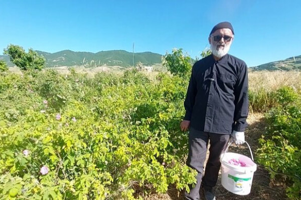 از مهاجرت معکوس جوانان روستا تا شگفتی سازمان فائو