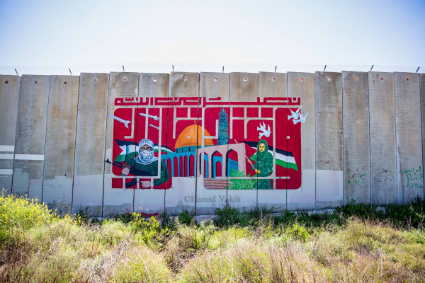 Murals for Palestine